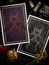 Load image into Gallery viewer, Love Beetle - Dung Beetle Art Print