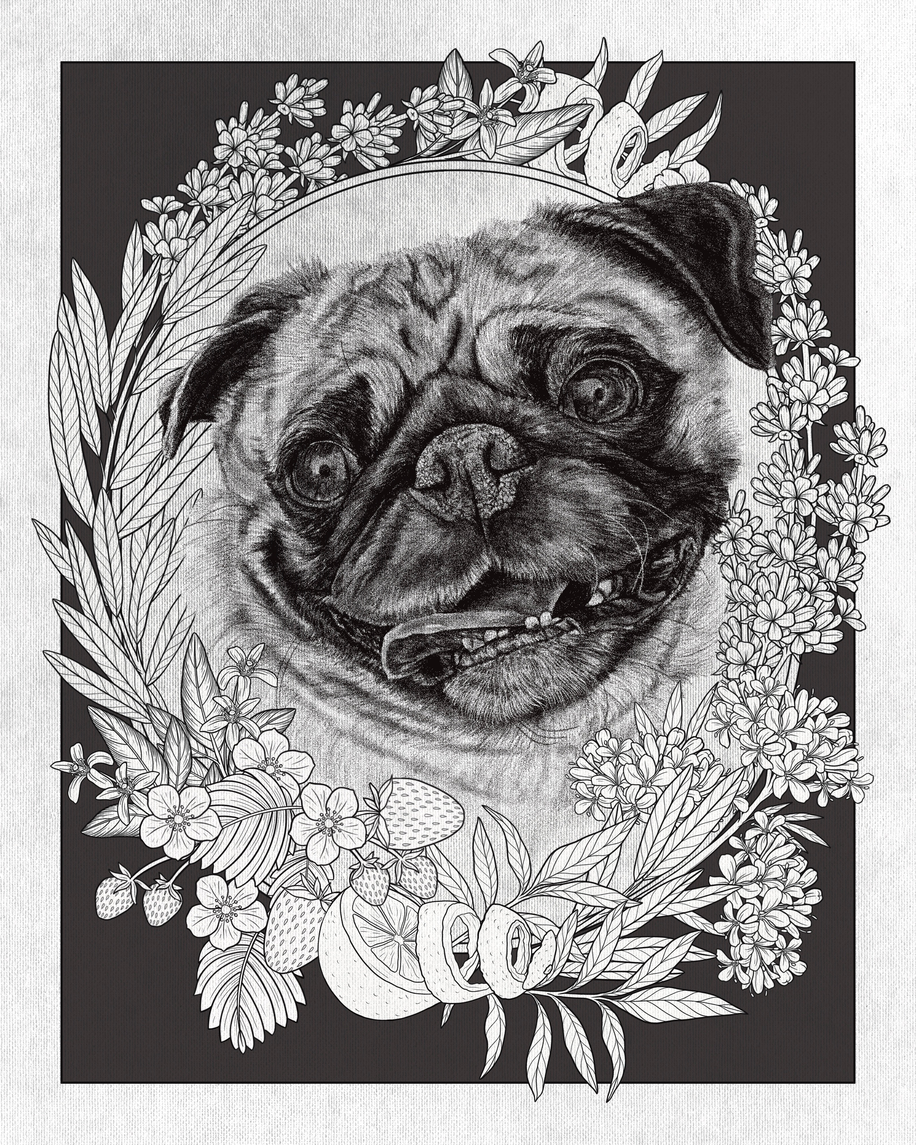 Custom Pet Portrait - Deposit – Strat Lacy Art