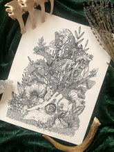 Load image into Gallery viewer, Weathered - Roe Deer Skull Art Print
