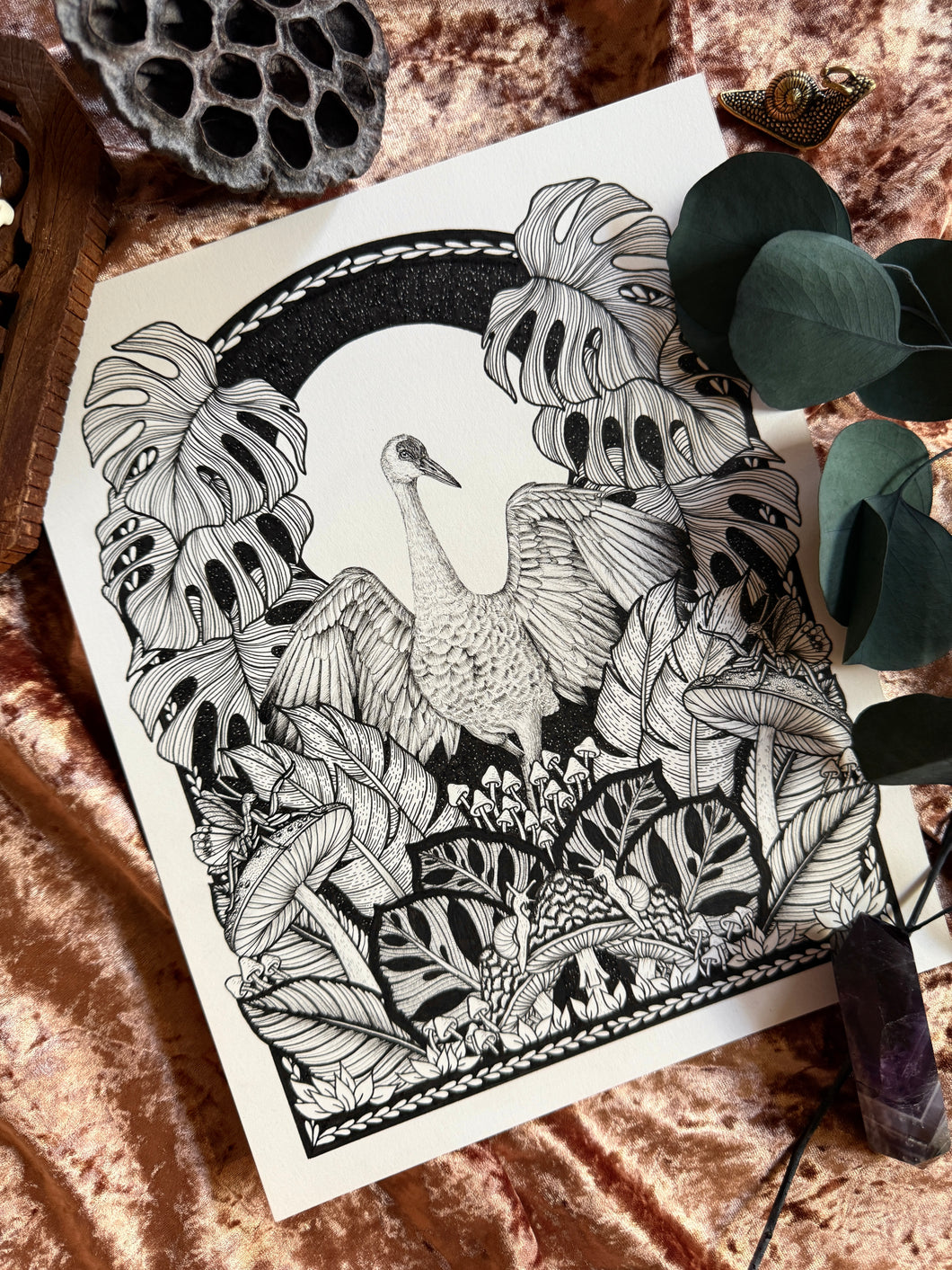 Sandhill Crane