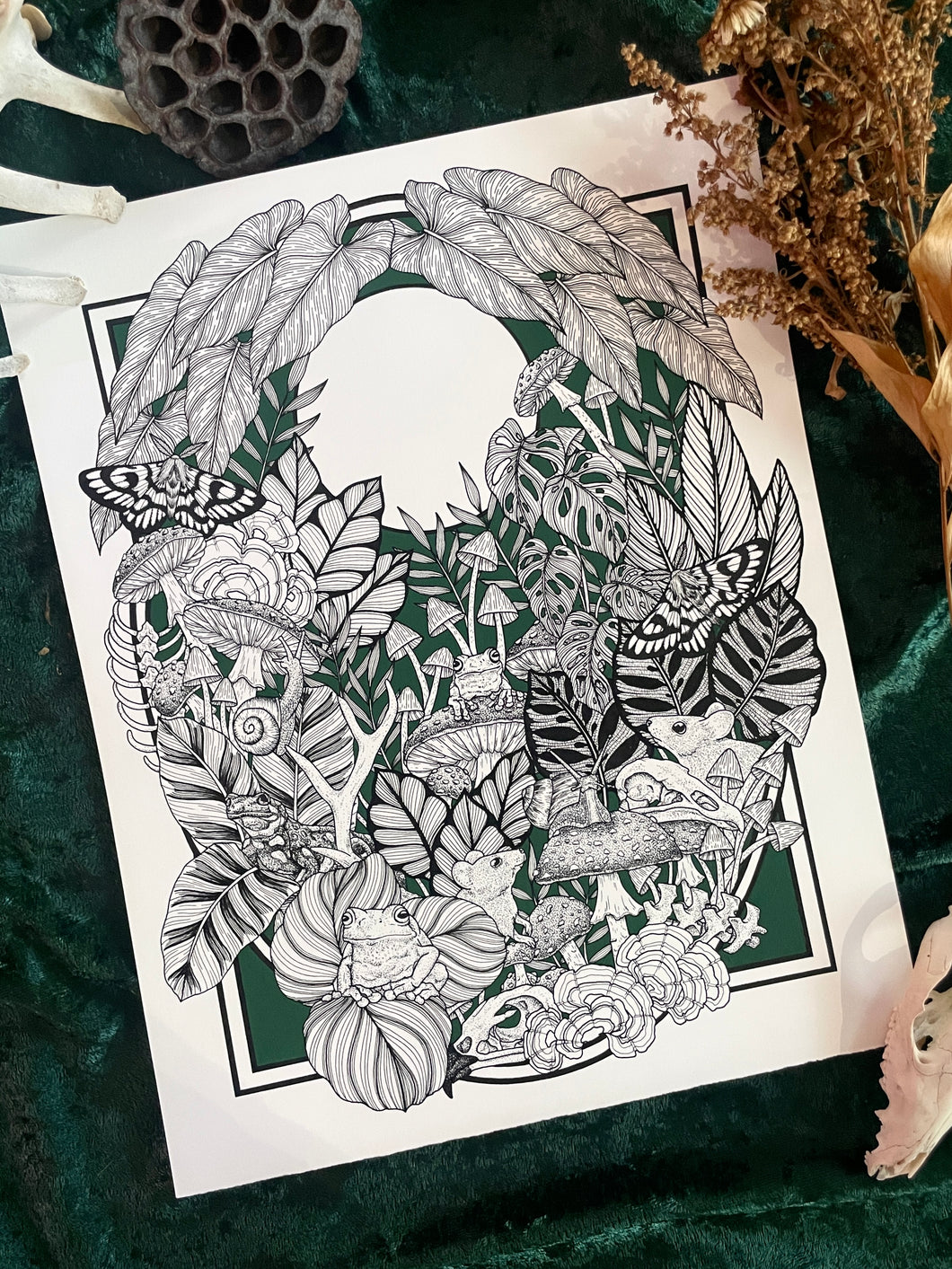Garden of Curiosities