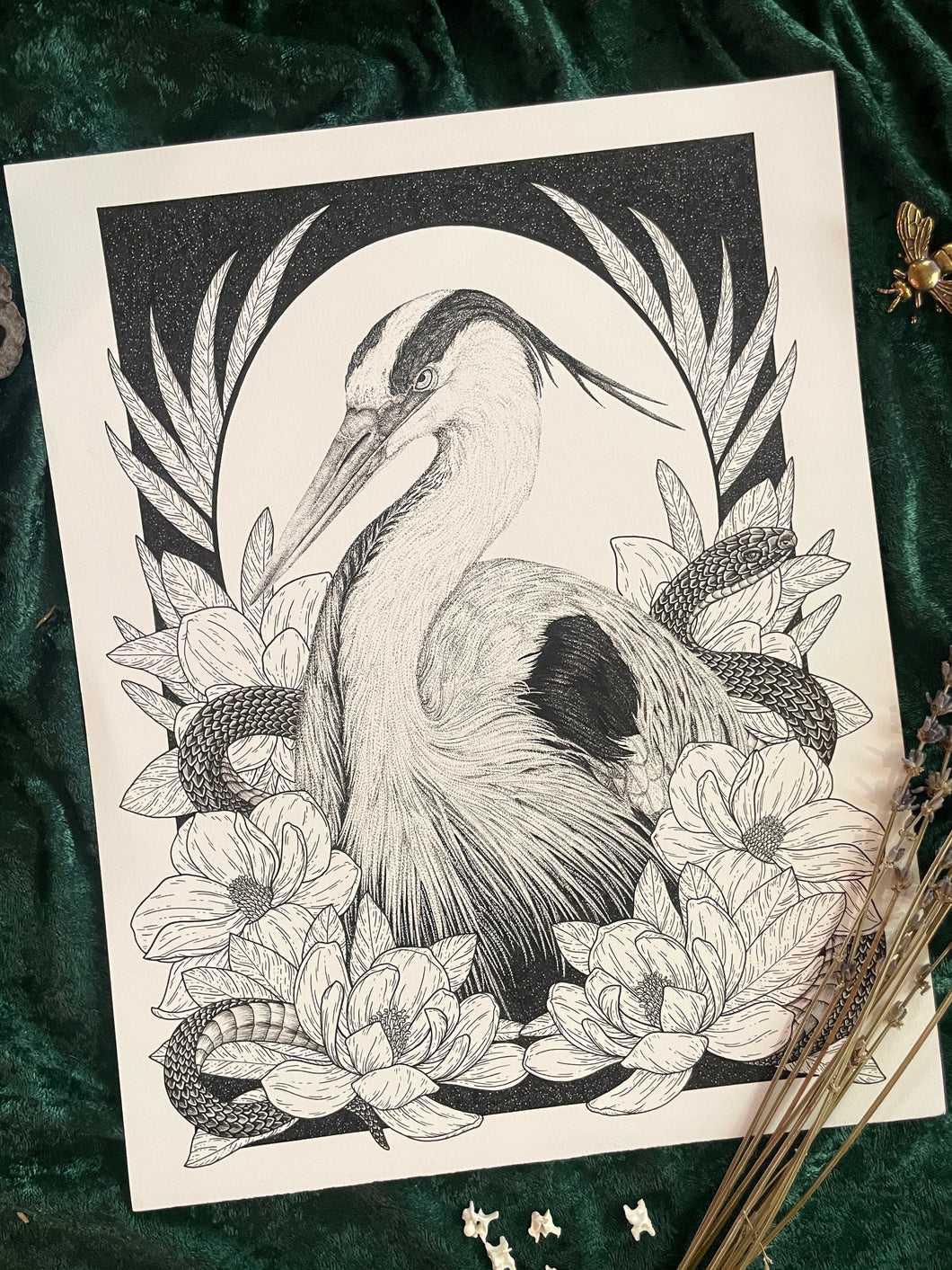 The Night Heron