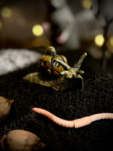 Load image into Gallery viewer, Pumpkin Snail
