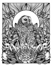Load image into Gallery viewer, Barred Owl Art Print
