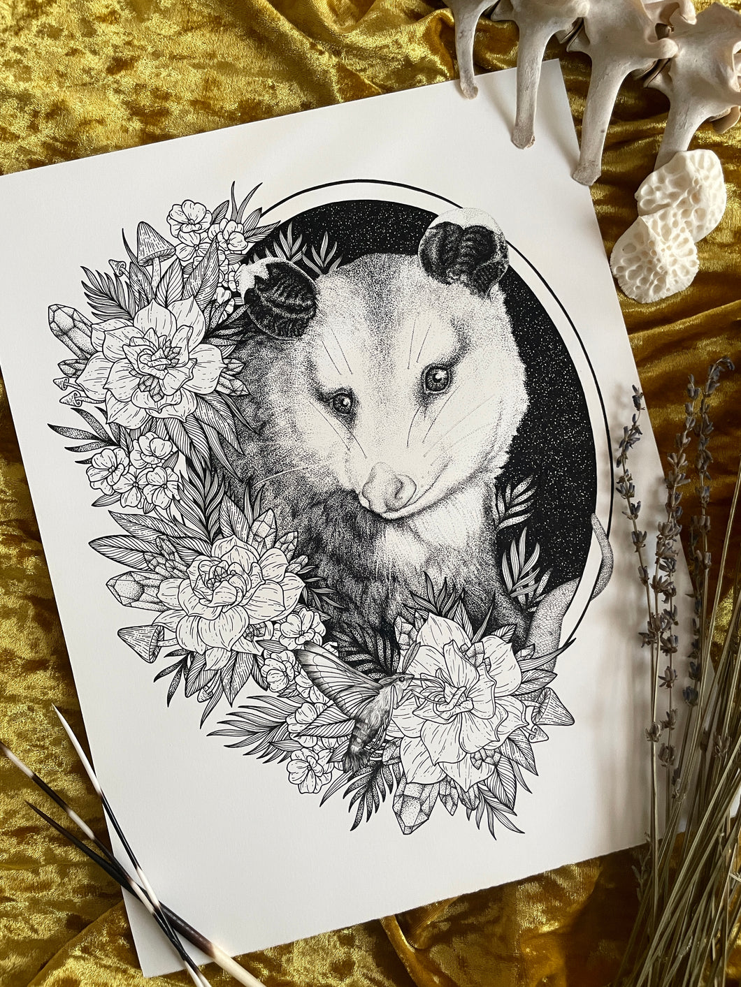 Opossum
