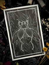Load image into Gallery viewer, Love Beetle - Dung Beetle Art Print
