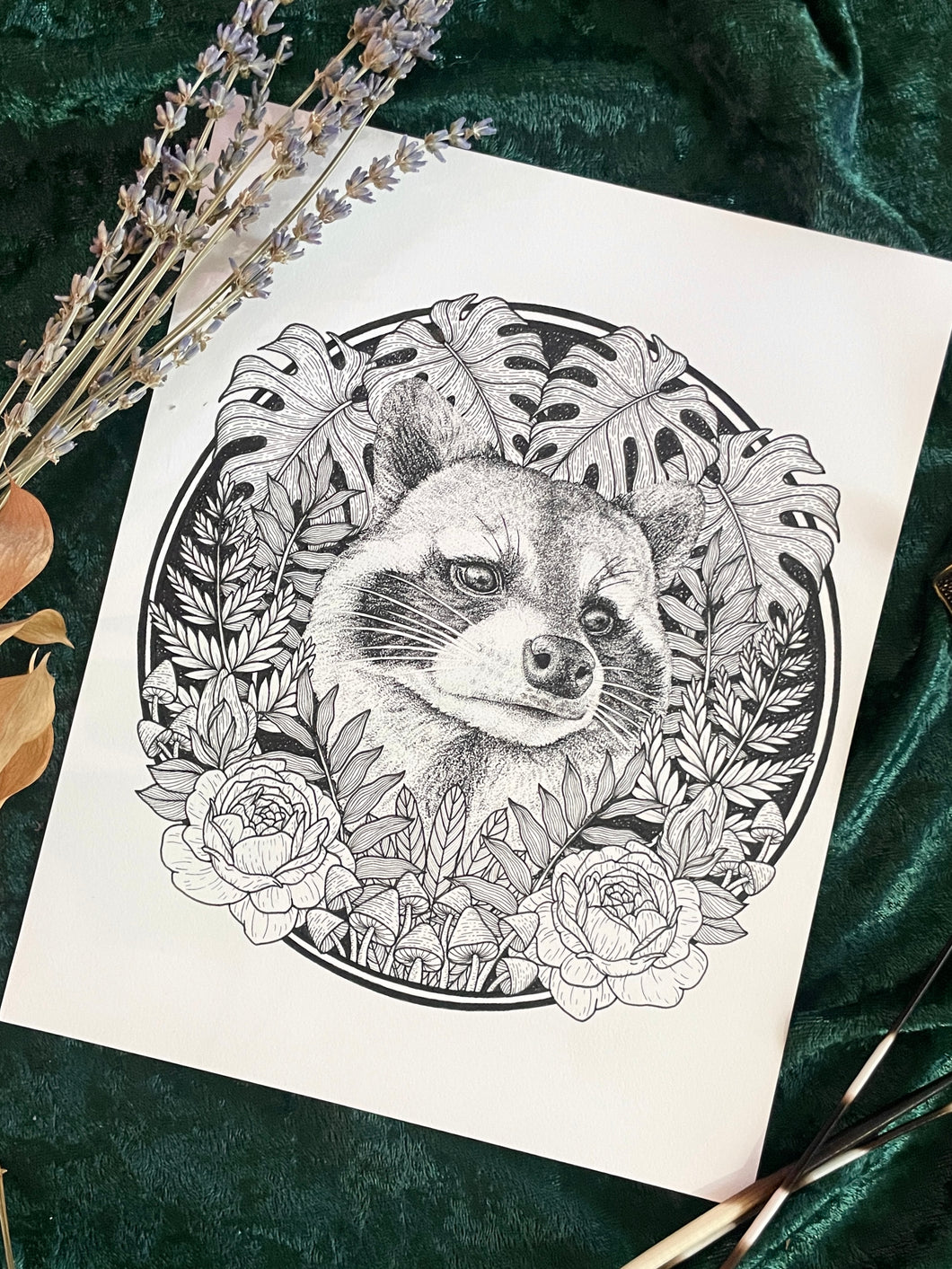 Trash Panda