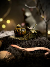 Load image into Gallery viewer, Pumpkin Snail
