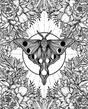 Load image into Gallery viewer, Floral Luna Moth Art Print

