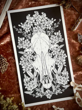 Load image into Gallery viewer, Fox and Cherry Blossoms - Floral Fox Skull Art Print
