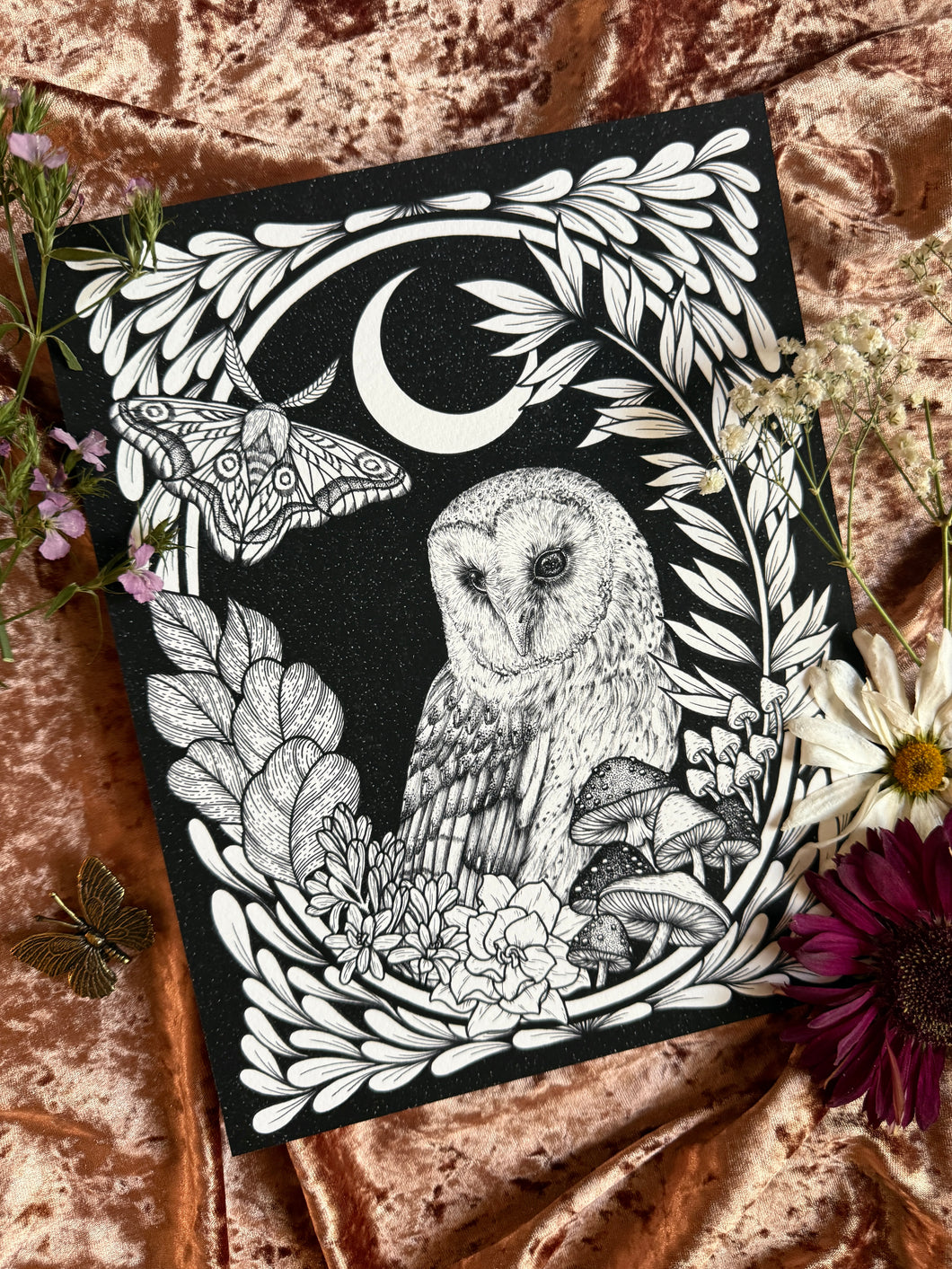Barn Owl