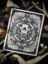 Load image into Gallery viewer, The Collector - Oddity Skull Art Print
