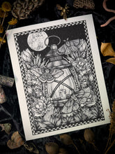 Load image into Gallery viewer, The Search - Floral Lantern Art Print
