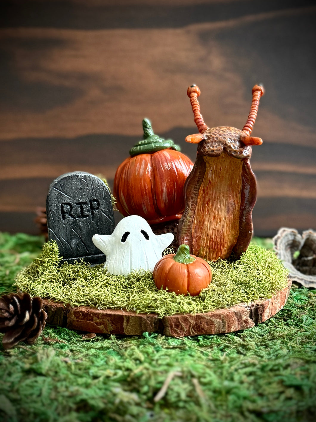 Cemetery Pumpkin Snail