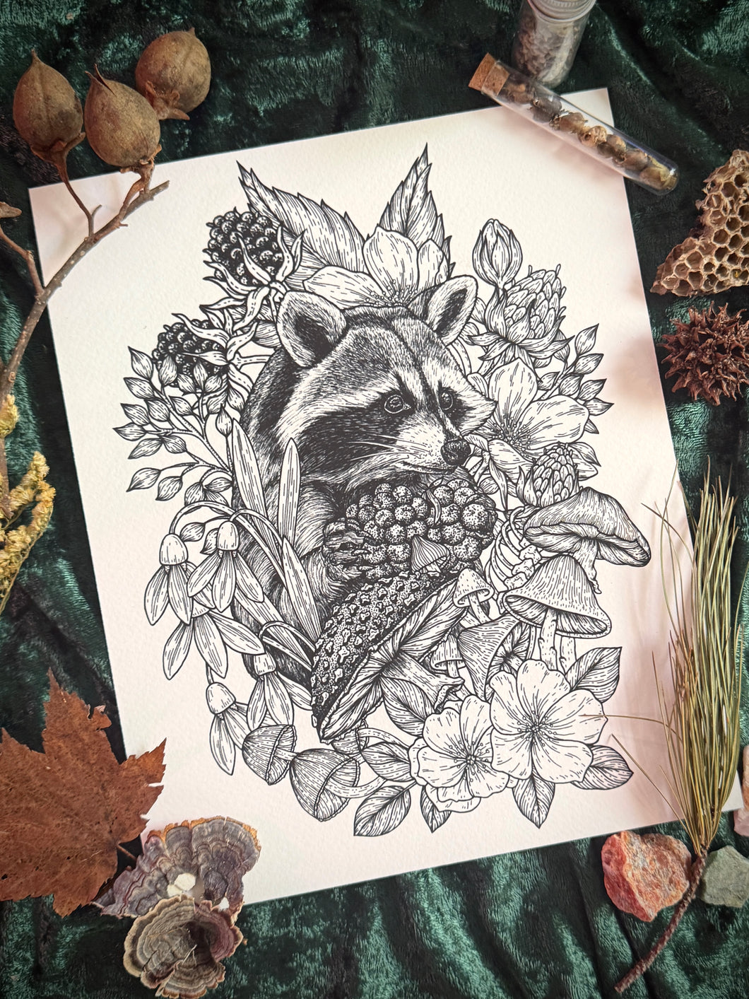 Forest Treasures
