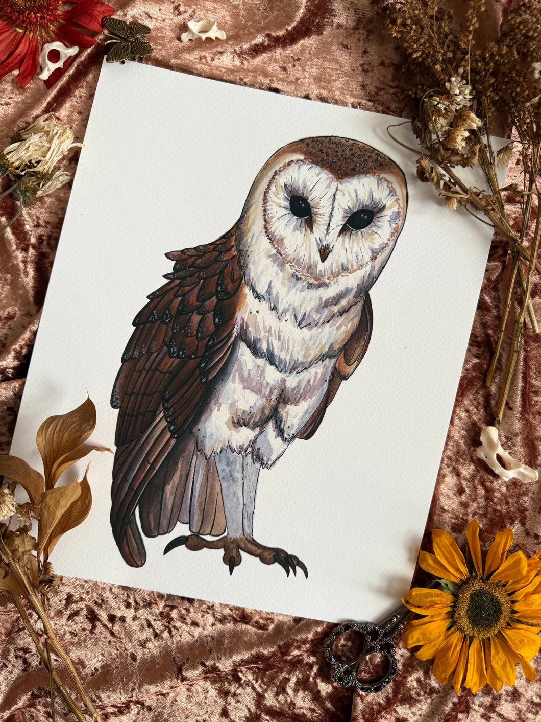 Watercolor Barn Owl