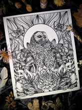 Load image into Gallery viewer, Barred Owl Art Print
