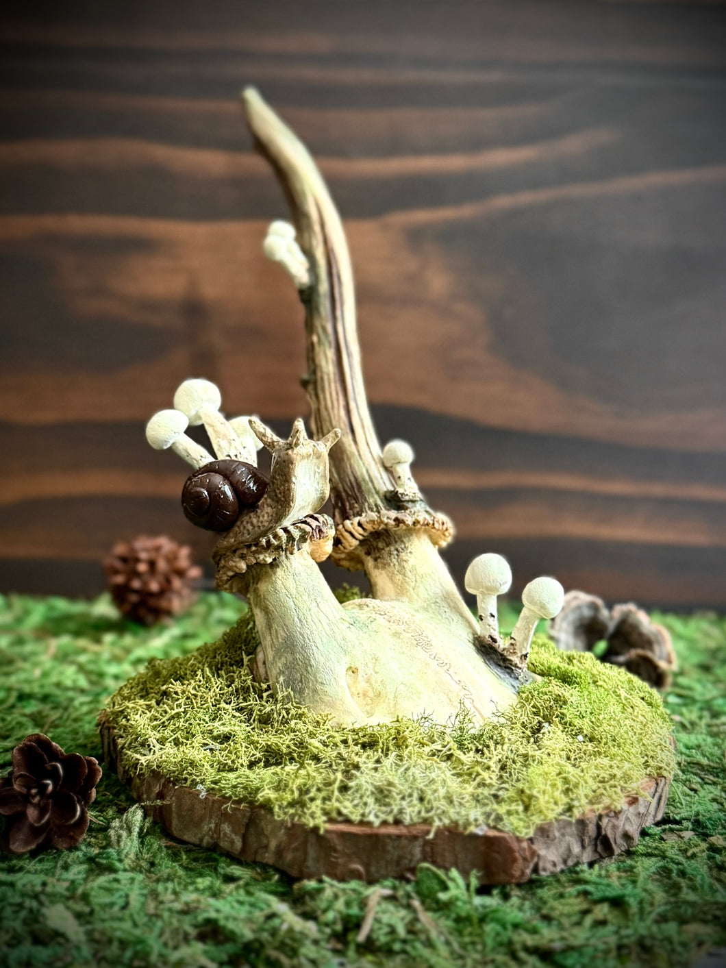 Snail and Mushroom Roe Deer Skull Cap