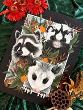 Load image into Gallery viewer, Misunderstood - Raccoon, Opossum, Skunk Art Print
