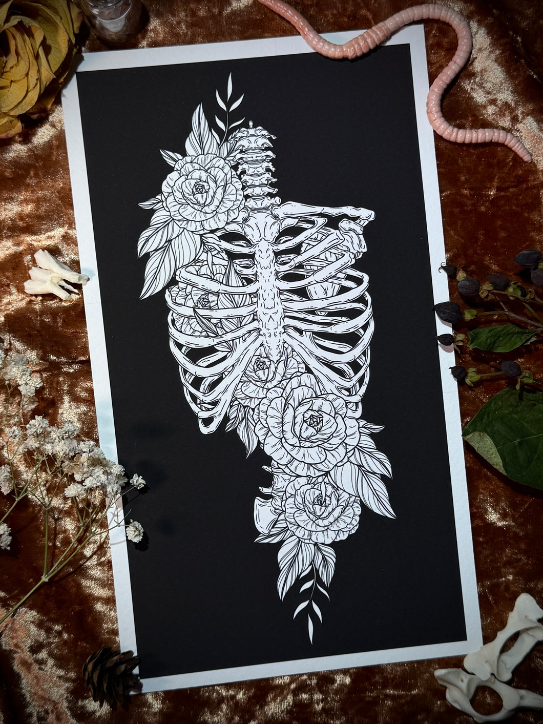 Ribcage