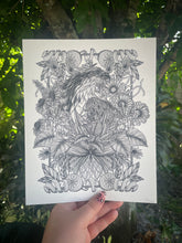 Load image into Gallery viewer, The Osprey Art Print
