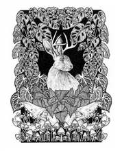Load image into Gallery viewer, The Jackalope - Whimsical Jackalope Art Print
