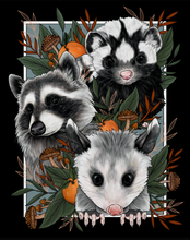 Load image into Gallery viewer, Misunderstood - Raccoon, Opossum, Skunk Art Print
