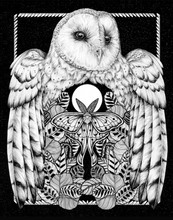 Load image into Gallery viewer, The Owl Garden - Floral Barn owl Art Print
