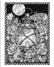 Load image into Gallery viewer, The Search - Floral Lantern Art Print
