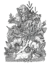 Load image into Gallery viewer, Weathered - Roe Deer Skull Art Print
