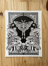 Load image into Gallery viewer, Moon Moth Art Print
