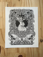 Load image into Gallery viewer, The Jackalope - Whimsical Jackalope Art Print
